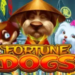 Fortune Dogs Habanero 1