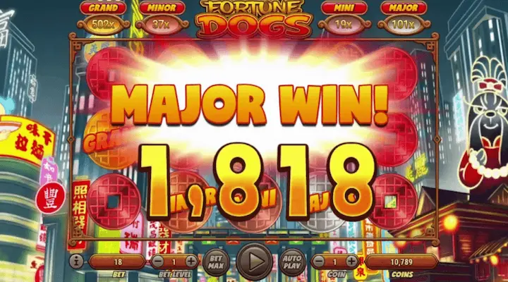 RTP dan Volatilitas Fortune Dogs Habanero